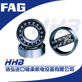 FAG進口軸承