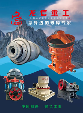 沈陽龍信重工有限公司產品樣本