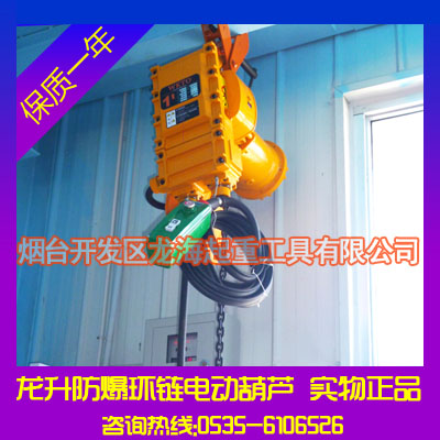 龍升防爆環鏈電動葫蘆報價【1~35噸/現貨供應】產品圖片