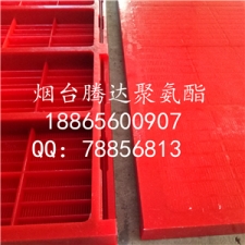 聚氨酯脫水篩板305x610產品圖片