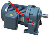 WANSHSIN萬鑫齒輪減速電機GH32-1500-5S