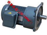 WANSHSIN萬鑫齒輪減速電機GV28-750-35S