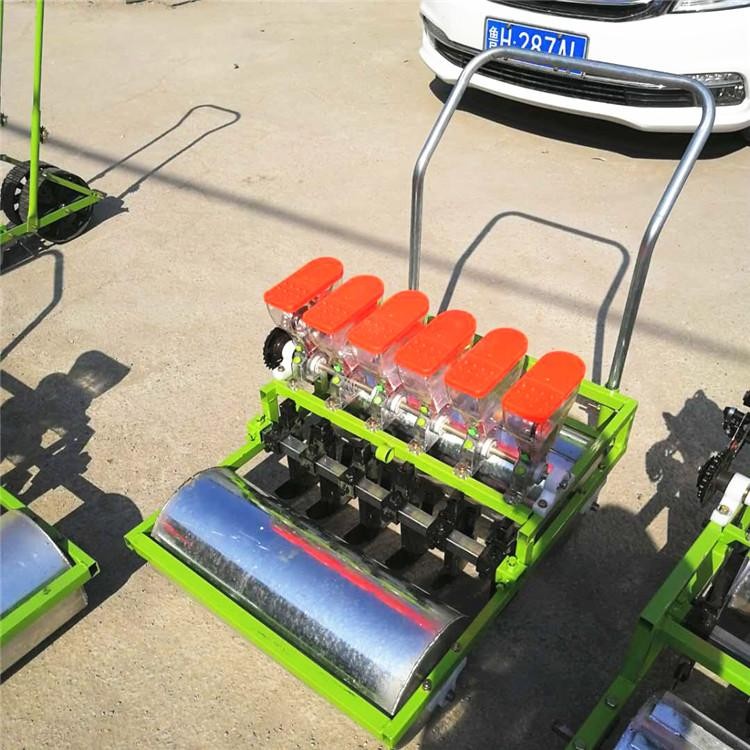  小粒種子播種機  手推式菠菜水稻播種機 自走式多行播種機