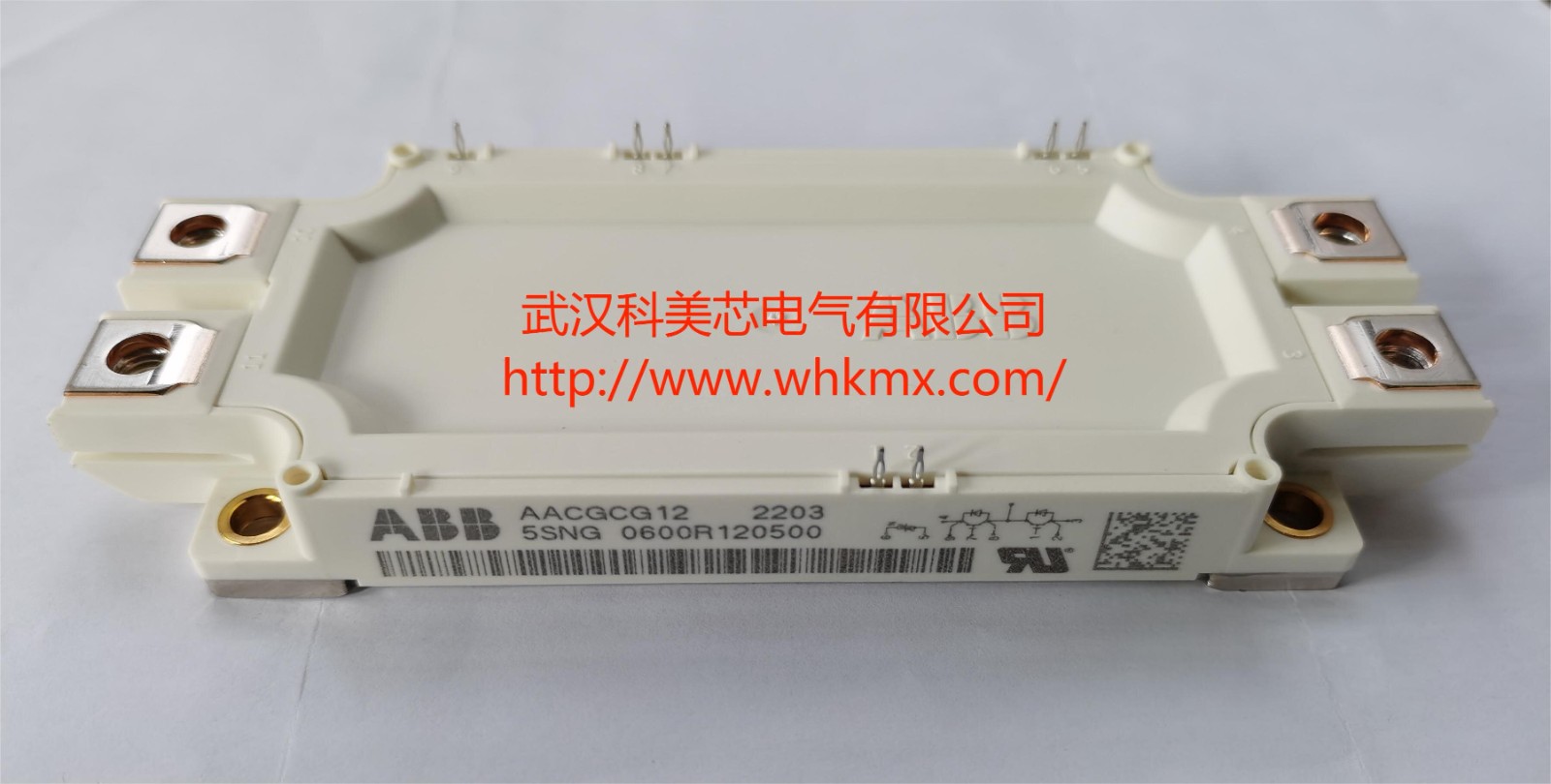 供應(yīng)ABB 5SNG 0225R170300 IGBT模塊