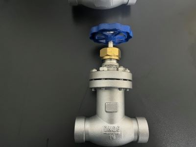 波紋管安全閥100FWJ16P產品圖片