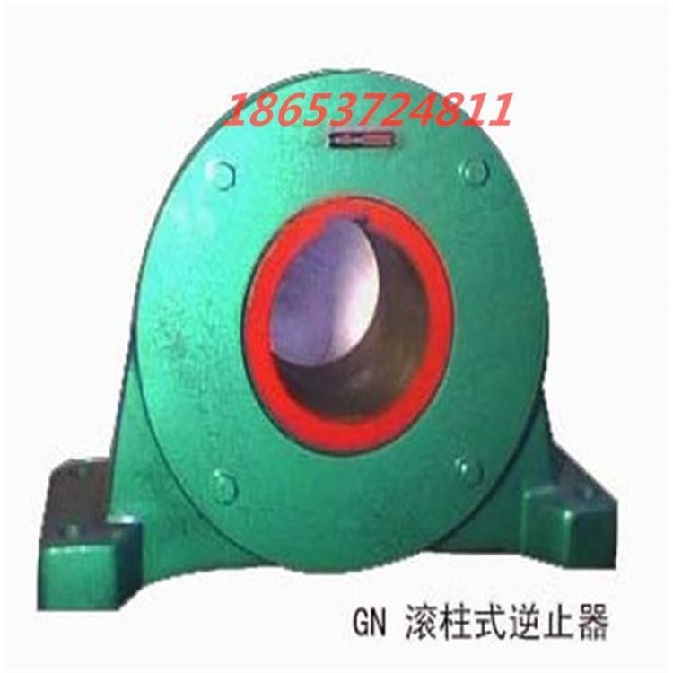  GN(DTIIN1)系列滾柱逆止器產品圖片