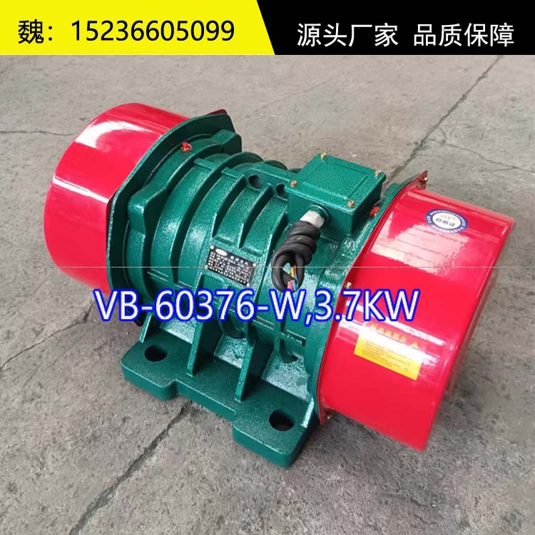 VB-60376-W振動電機6級振打電機廠家產品圖片