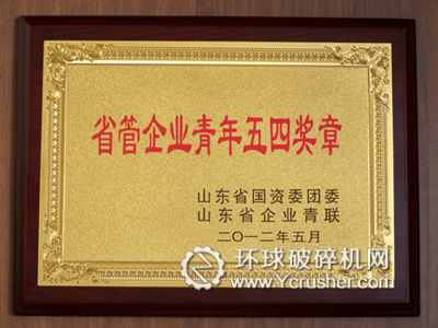 劉懷成榮獲“省管企業青年五四獎章”