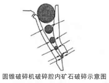 給料粒度組成的影響